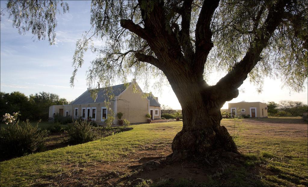Rietfontein Ostrich Palace Vleirivier Exterior foto
