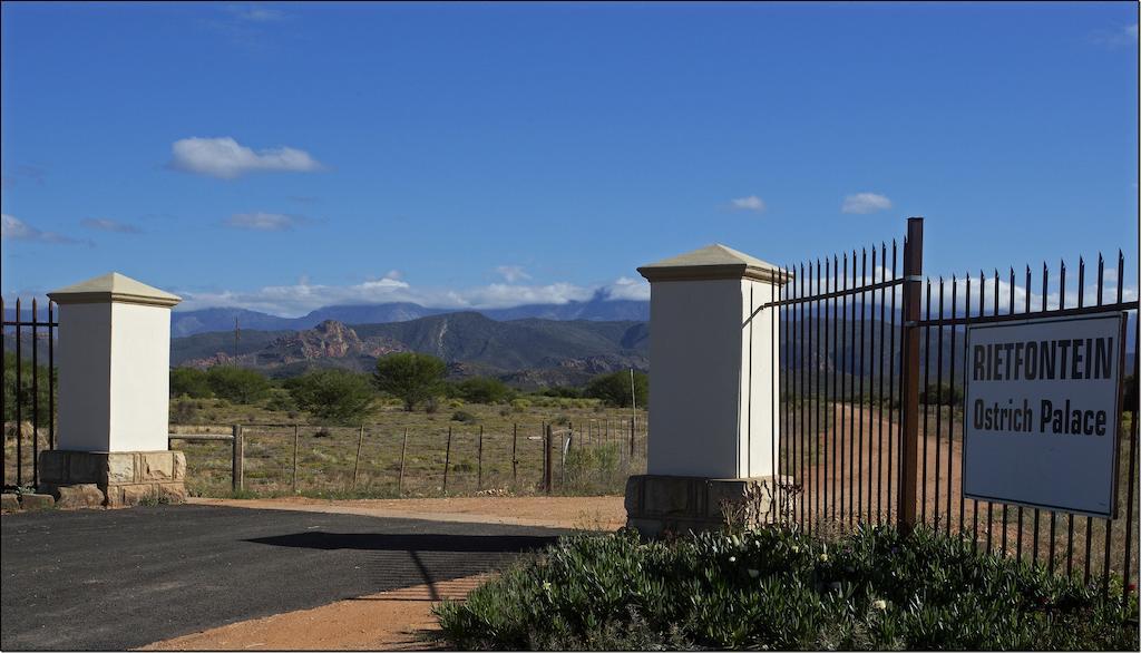 Rietfontein Ostrich Palace Vleirivier Exterior foto